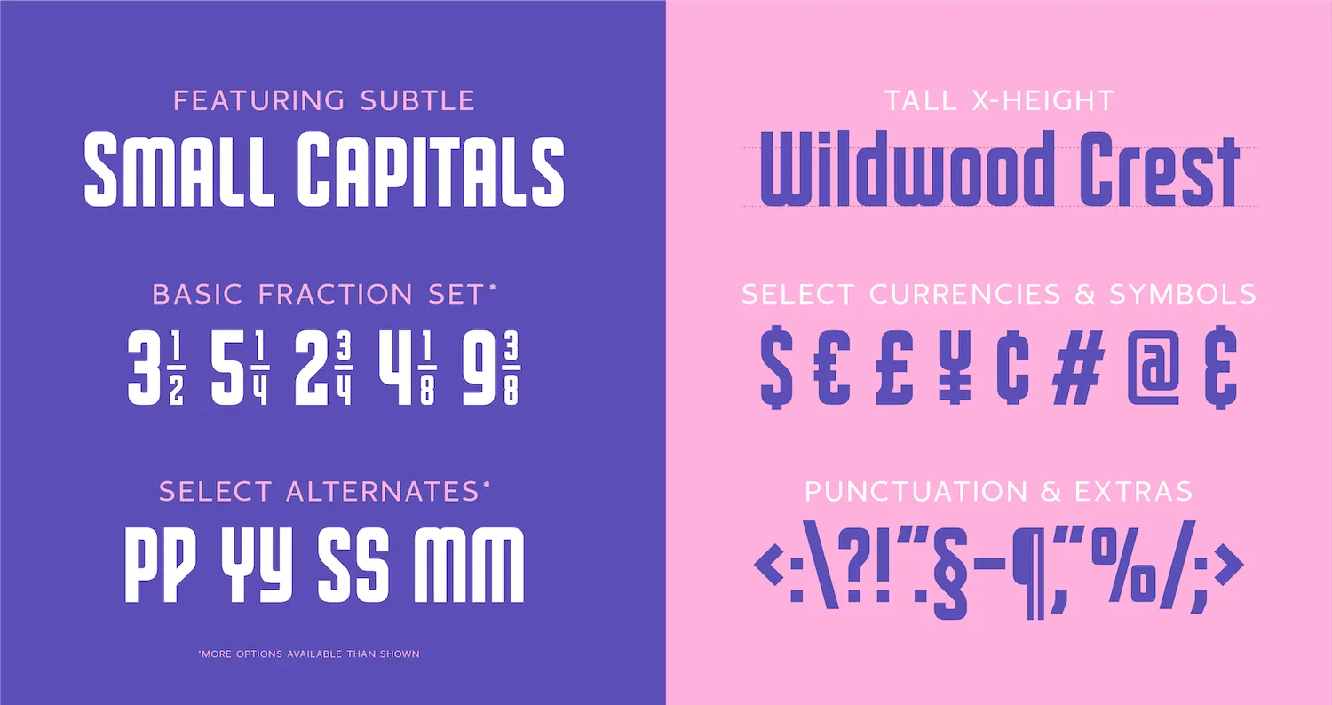 Carmel Type Font Bundle