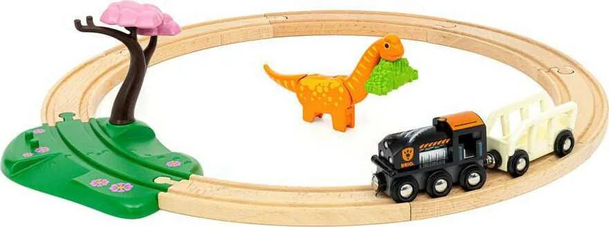 Dinosaur Circle Set