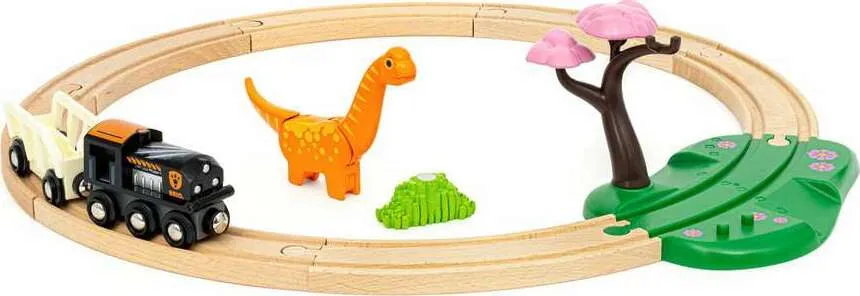 Dinosaur Circle Set